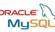 mysql数据库导出数据字典-Oracle数据库导出数据字典