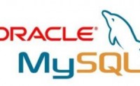 mysql数据库导出数据字典-Oracle数据库导出数据字典