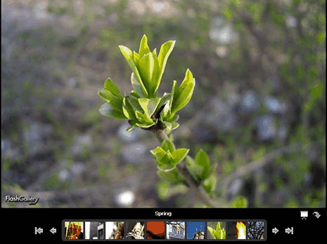 Flash photo gallery Demo